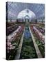 Como Park Conservatory, St. Paul, Minnesota, USA-null-Stretched Canvas