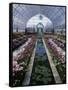 Como Park Conservatory, St. Paul, Minnesota, USA-null-Framed Stretched Canvas