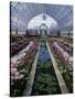 Como Park Conservatory, St. Paul, Minnesota, USA-null-Stretched Canvas