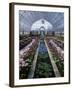 Como Park Conservatory, St. Paul, Minnesota, USA-null-Framed Premium Photographic Print