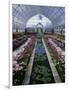 Como Park Conservatory, St. Paul, Minnesota, USA-null-Framed Photographic Print