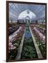 Como Park Conservatory, St. Paul, Minnesota, USA-null-Framed Photographic Print