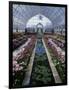 Como Park Conservatory, St. Paul, Minnesota, USA-null-Framed Photographic Print