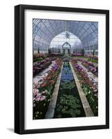 Como Park Conservatory, St. Paul, Minnesota, USA-null-Framed Photographic Print