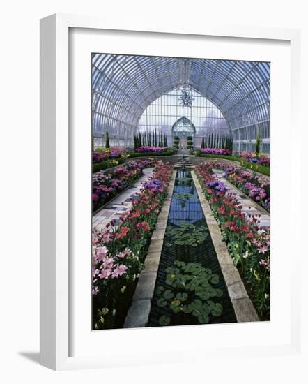 Como Park Conservatory, St. Paul, Minnesota, USA-null-Framed Photographic Print