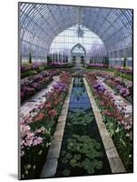 Como Park Conservatory, St. Paul, Minnesota, USA-null-Mounted Photographic Print