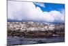 Comorants on an Island in the Beagle Channel, Ushuaia, Tierra Del Fuego, Argentina, South America-Michael Runkel-Mounted Photographic Print