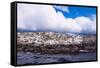 Comorants on an Island in the Beagle Channel, Ushuaia, Tierra Del Fuego, Argentina, South America-Michael Runkel-Framed Stretched Canvas