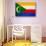 Comoros Flag Design with Wood Patterning - Flags of the World Series-Philippe Hugonnard-Stretched Canvas displayed on a wall