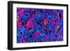 Compact Bone, Light Micrograph-Dr. Keith Wheeler-Framed Premium Photographic Print