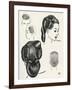 Compact Pageboy Bob Hairstyle Diagrams-null-Framed Art Print