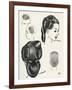 Compact Pageboy Bob Hairstyle Diagrams-null-Framed Art Print