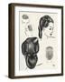 Compact Pageboy Bob Hairstyle Diagrams-null-Framed Art Print