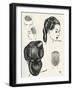 Compact Pageboy Bob Hairstyle Diagrams-null-Framed Art Print