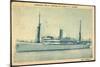 Compagnie Maritime Belge, S.S. Thysville,Dampfschiff-null-Mounted Giclee Print