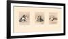 Companions Triptych-Cecil Aldin-Framed Premium Giclee Print