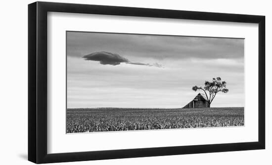 Companions-Trent Foltz-Framed Art Print