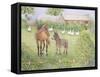 Companions-Pat Scott-Framed Stretched Canvas