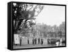 Company Inspection, U.S. Naval Academy-null-Framed Stretched Canvas