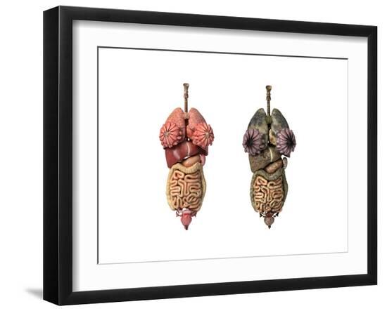 Art Print, , large