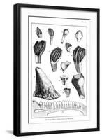 Comparison of the Teeth of an Iguanodon with Those of a Modern Iguana, 1836-null-Framed Giclee Print