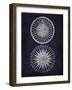 Compass 1-Denise Brown-Framed Art Print