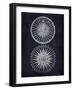 Compass 1-Denise Brown-Framed Art Print