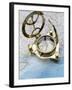 Compass on a Map-null-Framed Photographic Print