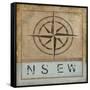 Compass Rose II-Karen Williams-Framed Stretched Canvas