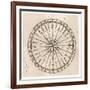 Compass Rose-null-Framed Art Print