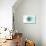 Compass - Teal - Coastal Icon-Lantern Press-Stretched Canvas displayed on a wall
