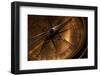 Compass-Uwe Merkel-Framed Photographic Print