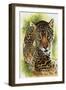 Compelling-Barbara Keith-Framed Premium Giclee Print