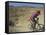 Competitiors in Mount Sodom International Mountain Bike Race, Dead Sea Area, Israel, Middle East-Eitan Simanor-Framed Stretched Canvas