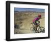 Competitiors in Mount Sodom International Mountain Bike Race, Dead Sea Area, Israel, Middle East-Eitan Simanor-Framed Photographic Print