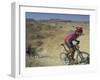 Competitiors in Mount Sodom International Mountain Bike Race, Dead Sea Area, Israel, Middle East-Eitan Simanor-Framed Photographic Print