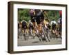 Competitive Cycling-null-Framed Photographic Print