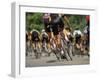 Competitive Cycling-null-Framed Photographic Print