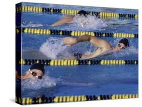 Competitive Swimming-null-Stretched Canvas