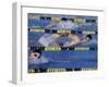 Competitive Swimming-null-Framed Photographic Print
