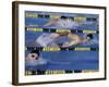 Competitive Swimming-null-Framed Photographic Print