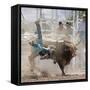 Competitor Falling from His Mount During the Bull Riding Competition, Socorro, New Mexico, Usa-Luc Novovitch-Framed Stretched Canvas