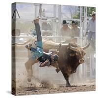 Competitor Falling from His Mount During the Bull Riding Competition, Socorro, New Mexico, Usa-Luc Novovitch-Stretched Canvas