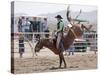 Competitor in the Bronco Riding Event During the Annual Rodeo Held in Socorro, New Mexico, Usa-Luc Novovitch-Stretched Canvas