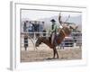 Competitor in the Bronco Riding Event During the Annual Rodeo Held in Socorro, New Mexico, Usa-Luc Novovitch-Framed Photographic Print