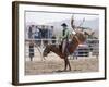 Competitor in the Bronco Riding Event During the Annual Rodeo Held in Socorro, New Mexico, Usa-Luc Novovitch-Framed Photographic Print