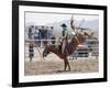 Competitor in the Bronco Riding Event During the Annual Rodeo Held in Socorro, New Mexico, Usa-Luc Novovitch-Framed Photographic Print