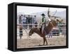 Competitor in the Bronco Riding Event During the Annual Rodeo Held in Socorro, New Mexico, Usa-Luc Novovitch-Framed Stretched Canvas