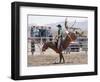 Competitor in the Bronco Riding Event During the Annual Rodeo Held in Socorro, New Mexico, Usa-Luc Novovitch-Framed Photographic Print