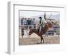 Competitor in the Bronco Riding Event During the Annual Rodeo Held in Socorro, New Mexico, Usa-Luc Novovitch-Framed Photographic Print